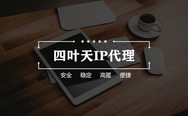 【长葛代理IP】如何快速搭建代理IP？怎么检查代理的效果？